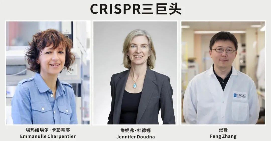 中國科學(xué)家張峰專利勝訴諾貝爾化學(xué)獎得主，看基因編輯的專利布局