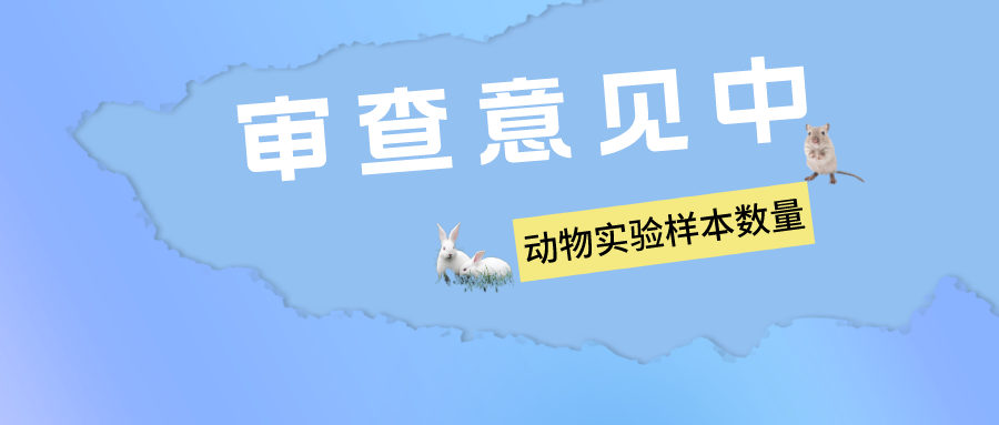 鼠鼠我呀，在專利實驗中多少只才算足夠？