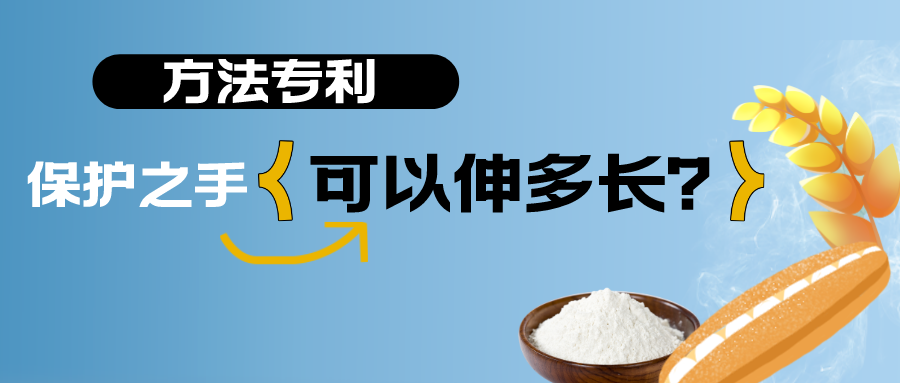小麥，面粉與面包——方法專利的保護(hù)之手，可以伸多長(zhǎng)