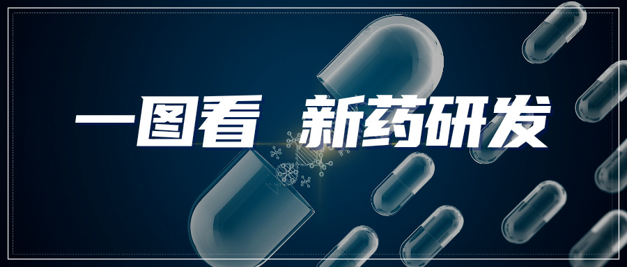 情報速遞｜一圖看新藥研發(fā)領域專利進展——小分子藥低氧誘導因子